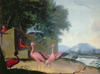 Eine Versammlung exotischer Vögel, darunter Flamingos, Papageien und ein Lady Amherst Fasan von Gerrit van Honthorst